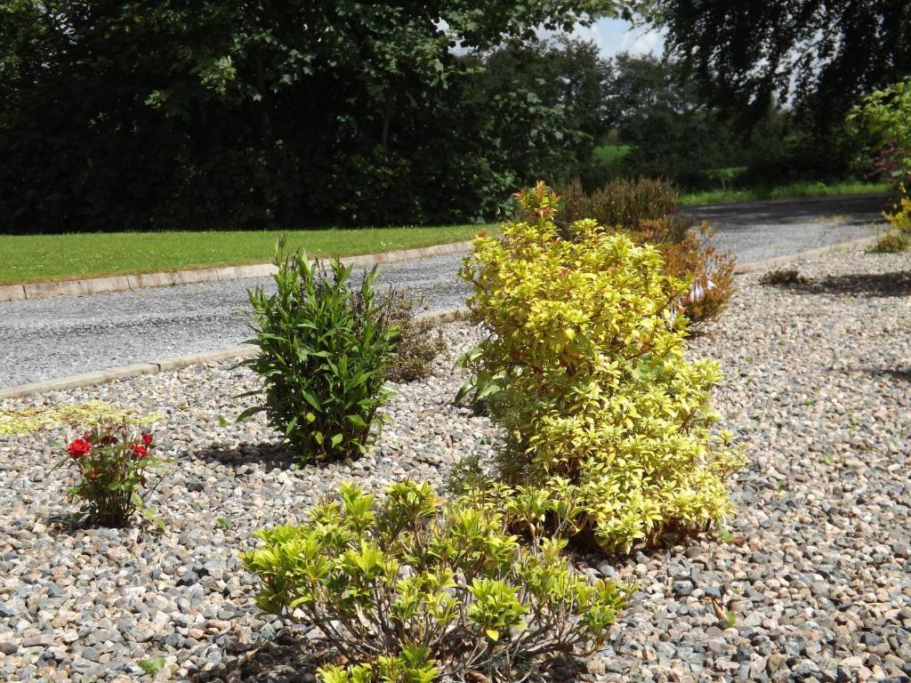 The Laurels Bed & Breakfast Lodge Omagh Esterno foto