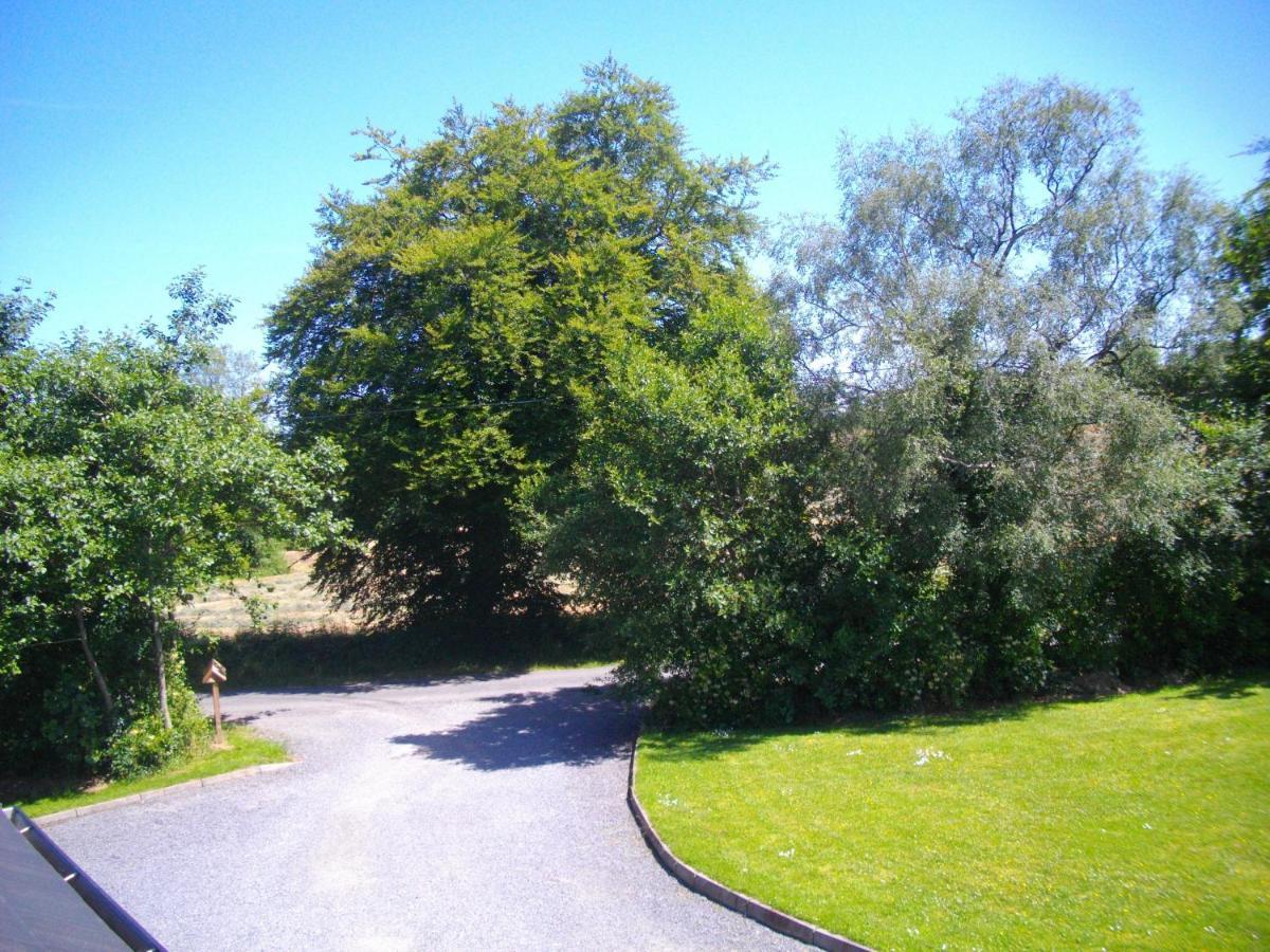 The Laurels Bed & Breakfast Lodge Omagh Esterno foto